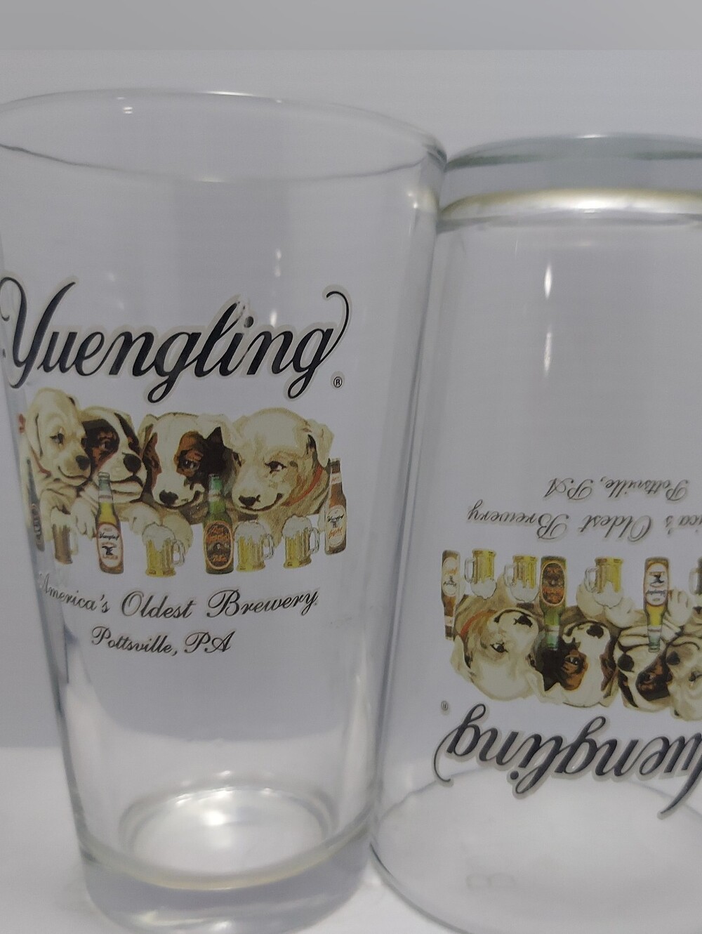 Yuengling Clear Pint Glass with Dog Artwork - Clear